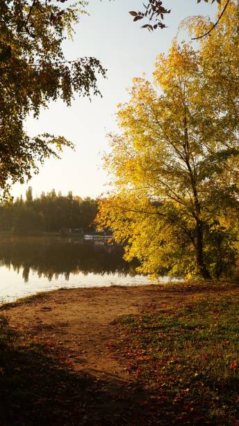 istock Early autumn morning in the park 1703315205