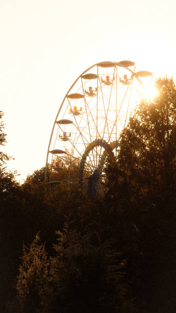 istock Dawn in the autumn park 1703317804