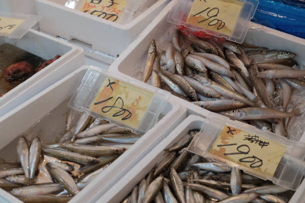 istock fresh seafood in the fish market 1703339764