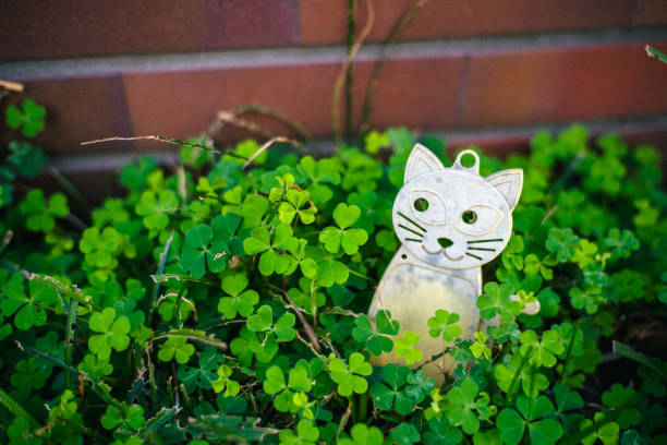 The cat mascot is discarded.