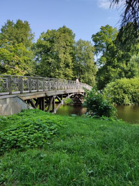 istock A picturesque bridge in the park on a summer day 1703371479
