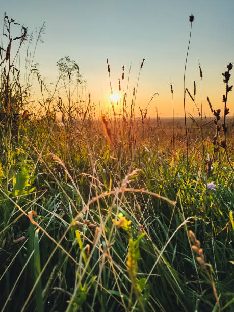 istock Beautiful sunset on a summer day 1703372555