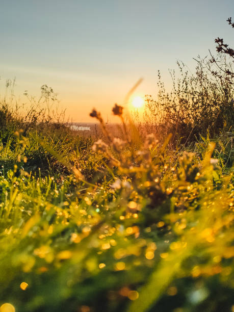 istock Beautiful sunset on a summer day 1703373065