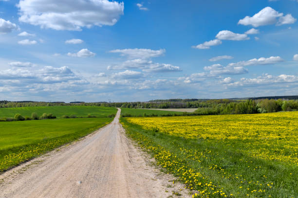 istock unpaved road in rural areas in spring, unpaved road 1703410756