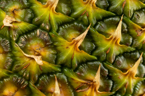 istock Ripe whole pineapple with green-yellow peel 1703410776