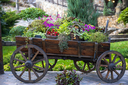 An old village cart with baskets full of flowers.