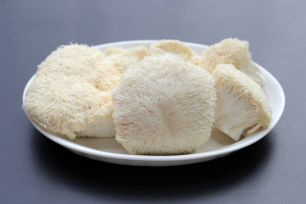 istock Fresh lion's mane mushroom on dark background. (Yamabushitake Mushroom) 1703451186