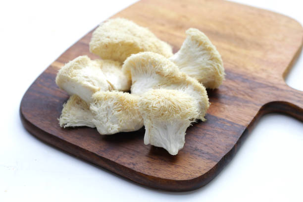 istock Fresh lion's mane mushroom on white background. (Yamabushitake Mushroom) 1703451223