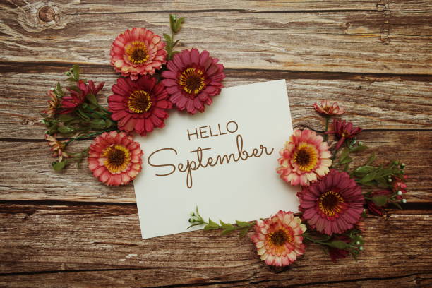 istock Hello September typography text with flowers on wooden background 1703451380