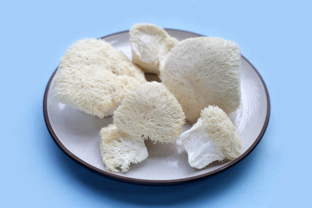 istock Fresh lion's mane mushroom on blue background. (Yamabushitake Mushroom) 1703451420