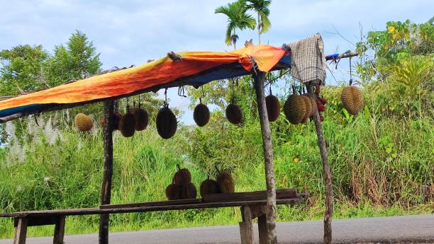 istock Indonesian durian 1703479023
