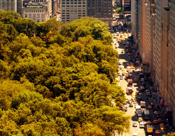 istock Central Park in a Sunny Autumn Day. 1703492015