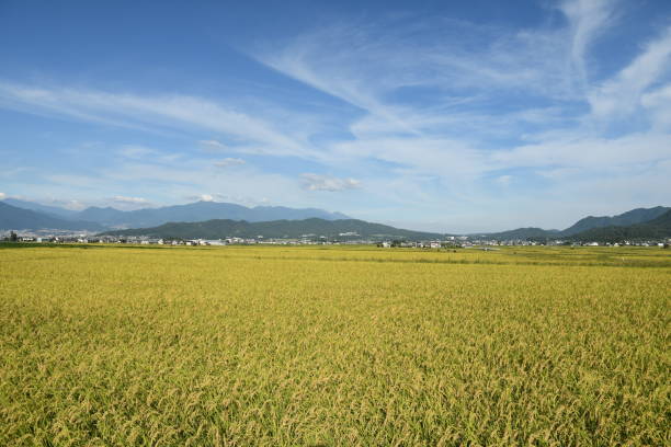 istock Rural Landscape in Autumn 1703493117