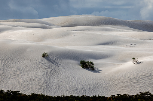 Sand Dunes in Yanchep national Park, Cervantes Western Australia