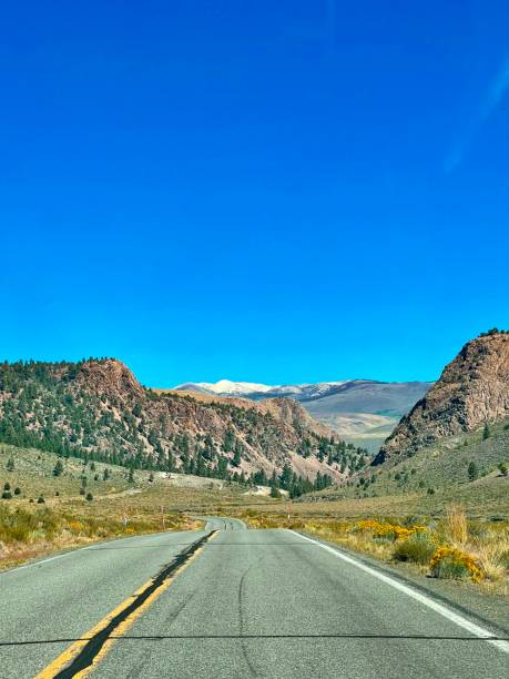 istock HWY 108 - Mono Co. Vista - September 1703516623