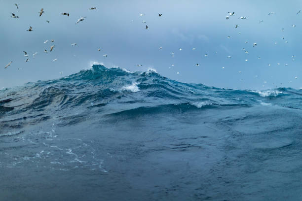 istock The shape of the sea: waves crashing and surfing 1703546475
