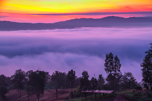 landscape view of fog in the mountain