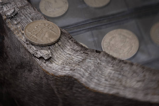 A precise close-up of the \