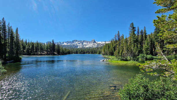 istock Beauty in nature 1703585604