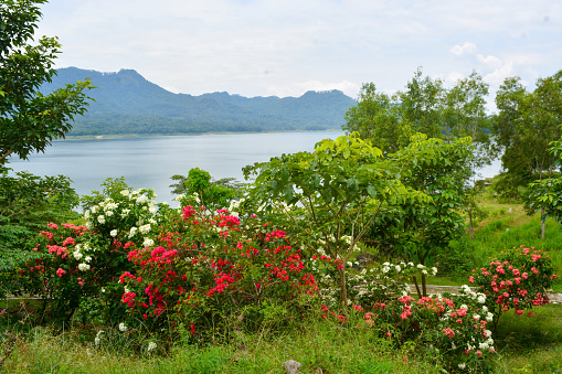 Photo of the park in Tanjung Serut tourist village