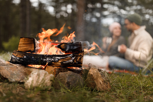 Close up of a campfire in the woods with couple in the background.