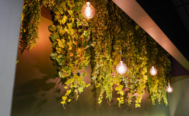 istock Light bulbs and decorative bushes. Home decorations. 1703596553