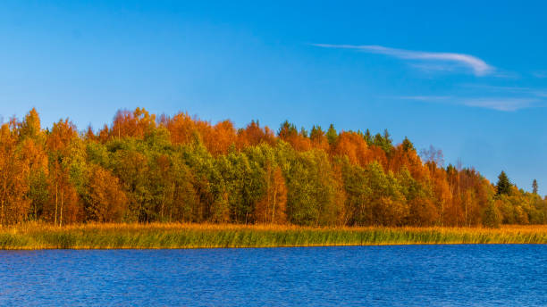 istock Blue water and trees in autumn colors 1703613662