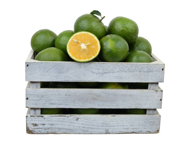 istock Green oranges in wooden crate isolated on white 1703662734