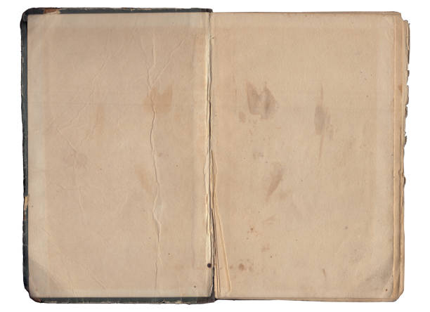istock Vintage empty background of old book spread paper texture 1703664294