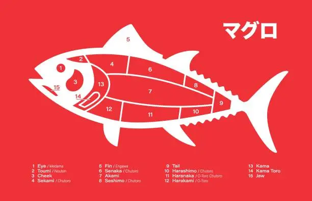 Vector illustration of Tuna japanese Cuts diagram on red background.