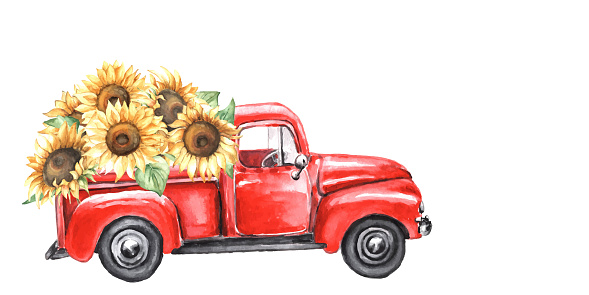 Watercolor red truck with autumn sunflowers.