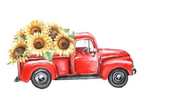 Vector illustration of Watercolor red truck with autumn sunflowers.