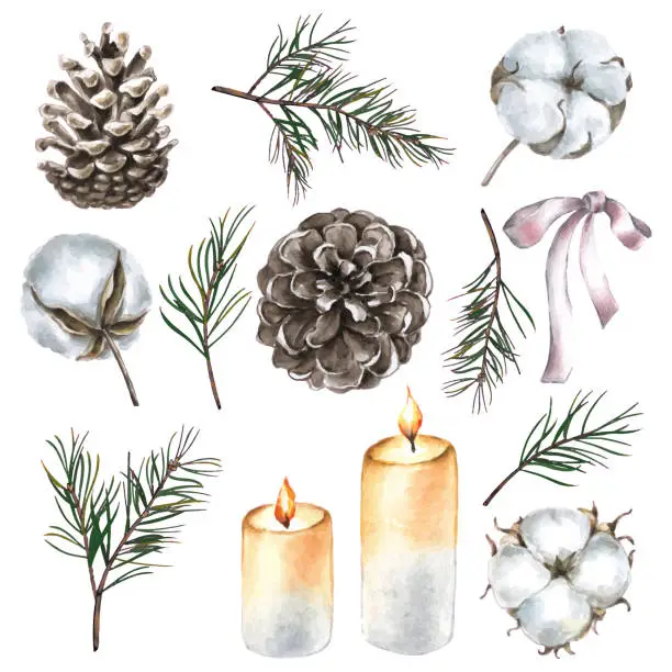 Vector illustration of Watercolor Christmas set of fir cones  and spruce branches