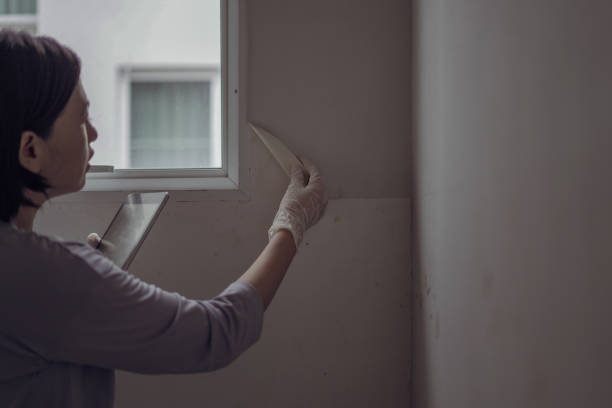 istock damaged wallpaper on the wall 1703680758