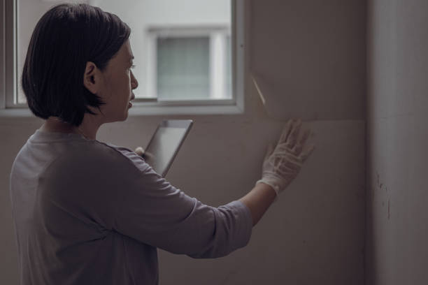 istock damaged wallpaper on the wall 1703681079