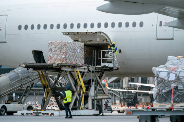 pracownicy ładują kontenery logistyczne cargo do samolotu. - luggage cart airport luggage cargo container zdjęcia i obrazy z banku zdjęć