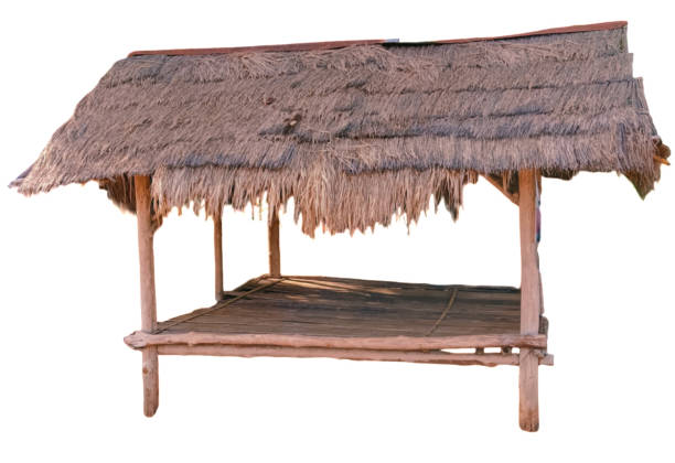 istock Thatched roof hut, white background 1703712029