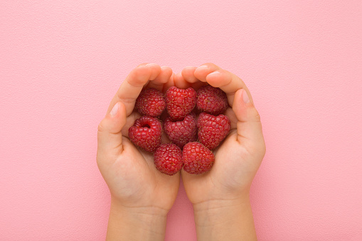 Baby girl opened palms holding heap of fresh red raspberry on light pink table background. Pastel color. Closeup. Point of view shot. Top down view.