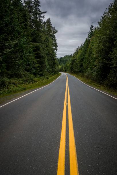 istock Scenic road with a bright yellow centerline winding through a lush forest. 1703730716