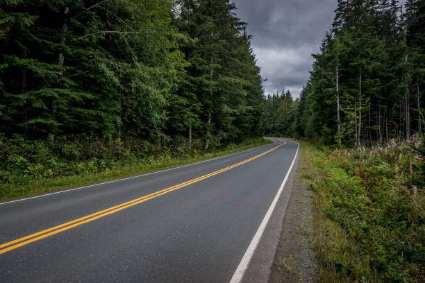 istock Scenic road with a bright yellow centerline winding through a lush forest. 1703730729