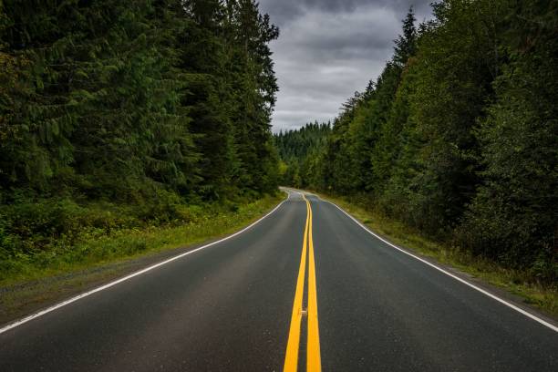 istock Scenic road with a bright yellow centerline winding through a lush forest. 1703730737
