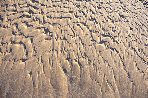 Abstract wet sandy ripple and surface textures in low tide on sandy beach.  Created natures art image seamless pattern background.