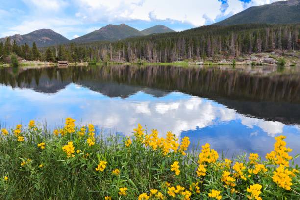 istock Sprague Lake in Rocky Mountains 1703735136