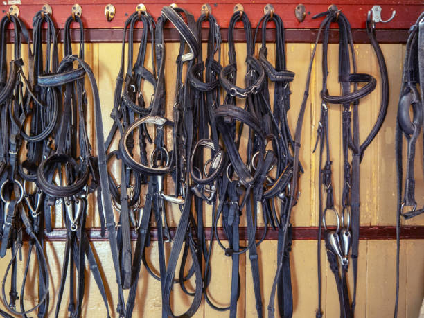istock Horse leather tack on wooden plank wall front view 1703757681