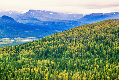 Aerial view at a mountainous landscape in the north of Sweden at autumn