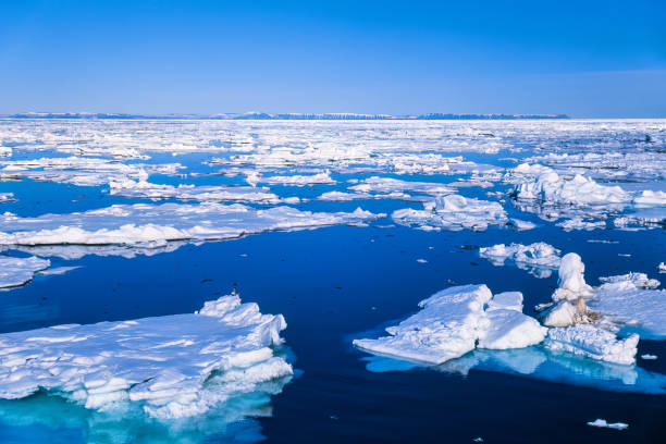 istock Drift ice in the Arctic ocean outside Svalbard 1703774192