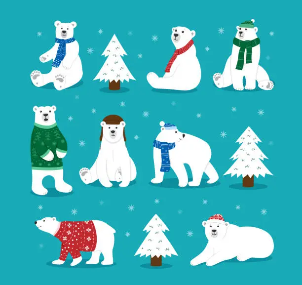 Vector illustration of Christmas bear in scarf, polar characters. White arctic child, wildlife in cold kid clothes, snow winter. Xmas mammals. Zoo or forest fauna. Vector utter cartoon flat isolated illustration