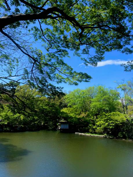 istock Wakayama City 1703809314
