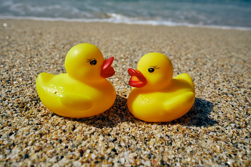 Two rubber ducks on the sand enjoying their beach holiday.
