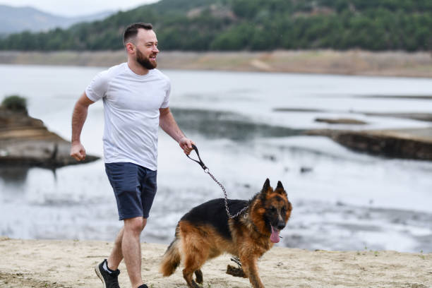 uśmiechnięty samiec biegający ze swoim owczarkiem niemieckim - men jogging running sports training zdjęcia i obrazy z banku zdjęć